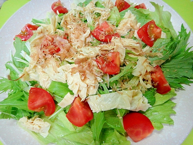生湯葉と水菜レタスのサラダ