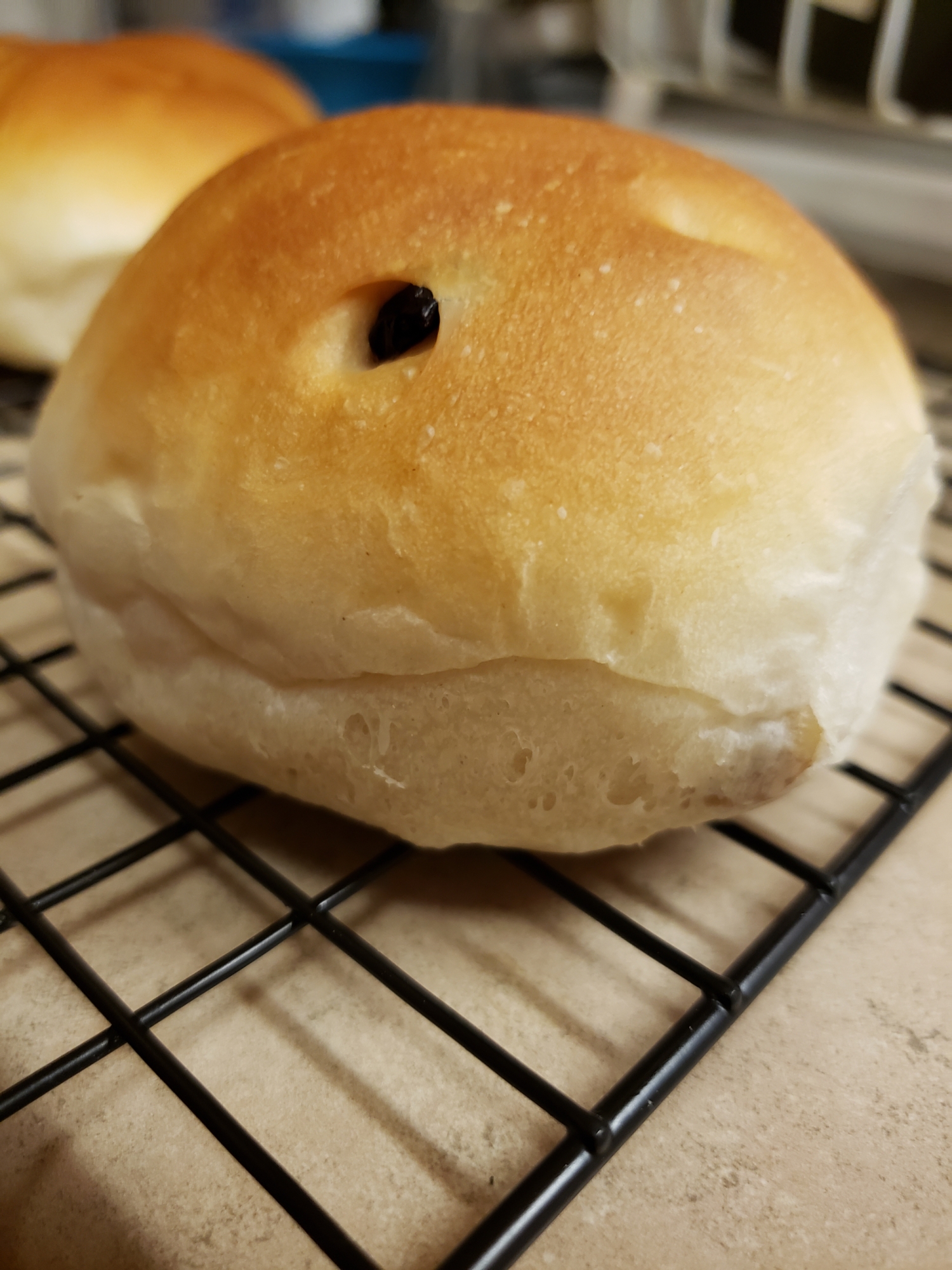 パインとクランベリーとくるみのパン