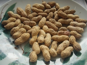 落花生をレンジでチン レシピ 作り方 By ミルミント 楽天レシピ 落花生をレンジでチン レシピ 作り方 By ミルミント 楽天レシピ