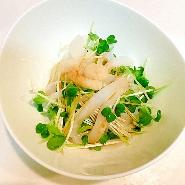 小鉢に盛り付けたアオリイカとかいわれ大根のサラダ