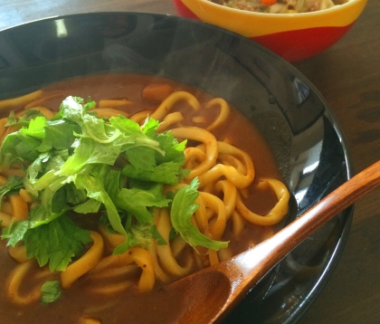 レトルトカレーで簡単♪旨いカレーうどん