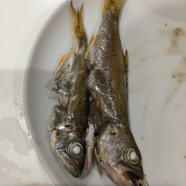 黒ムツの魚焼きグリルで塩焼き レシピ 作り方 By へんてこへんてこママ 楽天レシピ 黒ムツの魚焼きグリルで塩焼き レシピ 作り方 By へんてこへんてこママ 楽天レシピ