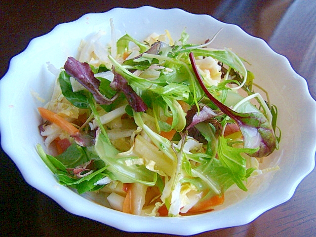 ベイビーリーフと白菜と林檎のサラダ