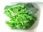 ワサビ菜の保存方法 レシピ 作り方 By 低所得家のごはんの友 楽天レシピ ワサビ菜の保存方法 レシピ 作り方 By 低所得家のごはんの友 楽天レシピ