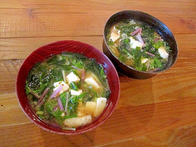 ＊赤水菜と豆腐の味噌汁＊