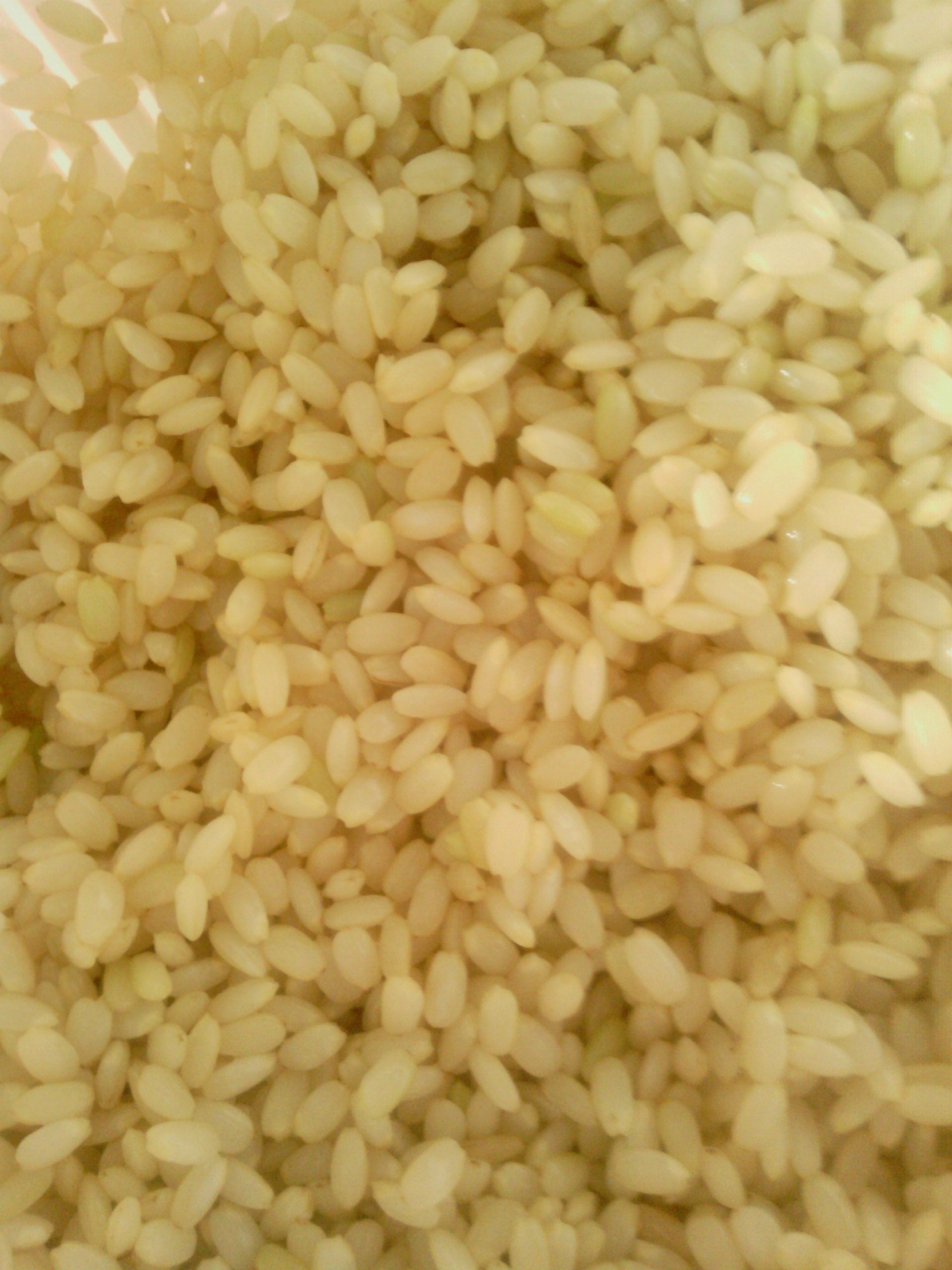 自宅で簡単　発芽玄米作り