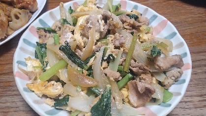 豚肉と小松菜と玉ねぎの卵炒め