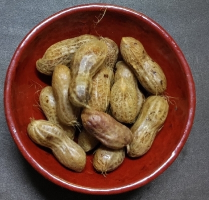 生落花生の茹で方(鍋と圧力鍋の茹で方比較)