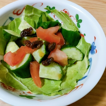 レーズン入り簡単野菜サラダ