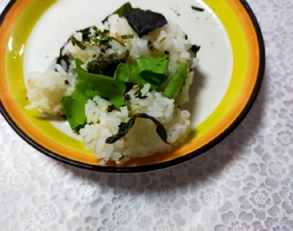 青菜（広島菜）の漬物とごまと海苔つゆかけご飯