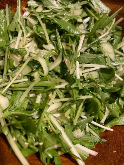 水菜ときゅうりのマヨサラダ