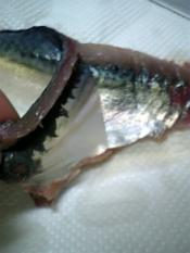 さばのさばき方 お刺身作り レシピ 作り方 By オクハマモ 楽天レシピ