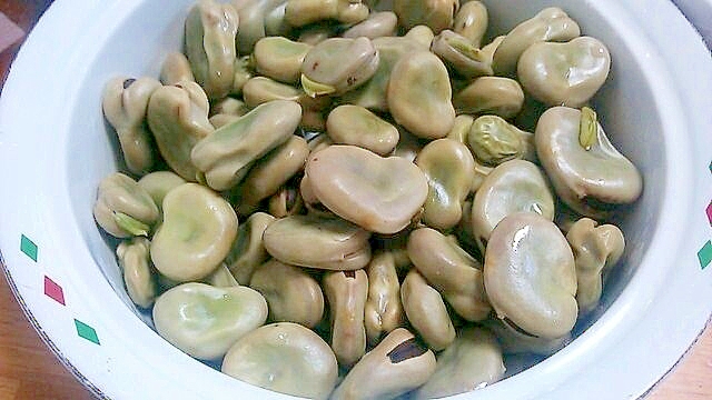ゆでただけ♪ソラマメの塩茹で