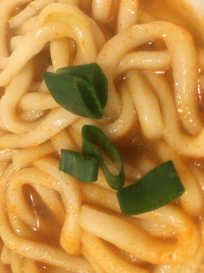 健康に☆植物性カレー拉麺(^^)v