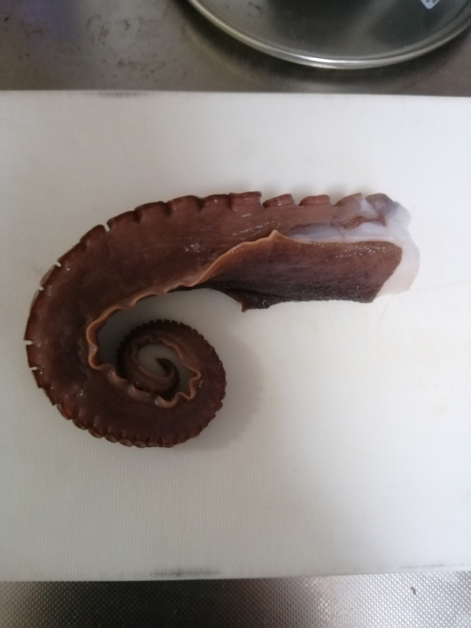 たこを柔らかく茹でる方法 レシピ 作り方 By タコ釣り師 楽天レシピ たこを柔らかく茹でる方法 レシピ 作り方 By タコ釣り師 楽天レシピ