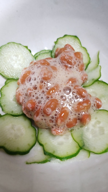 暑い夏にピッタリ☆きゅうり納豆丼