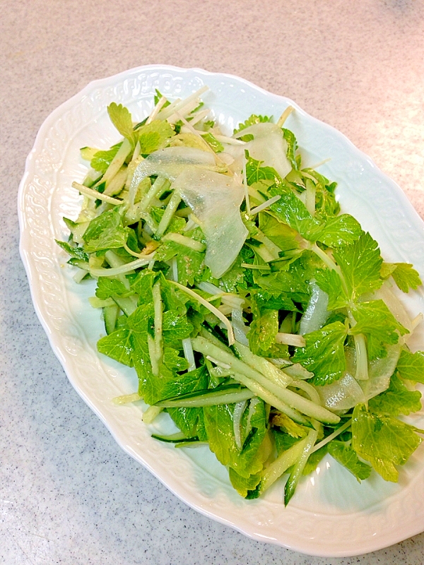 ホワイトセロリのグリーンサラダ