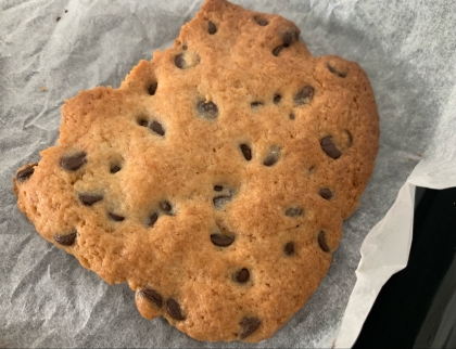 ざくざく濃厚♪チョコチップクッキー