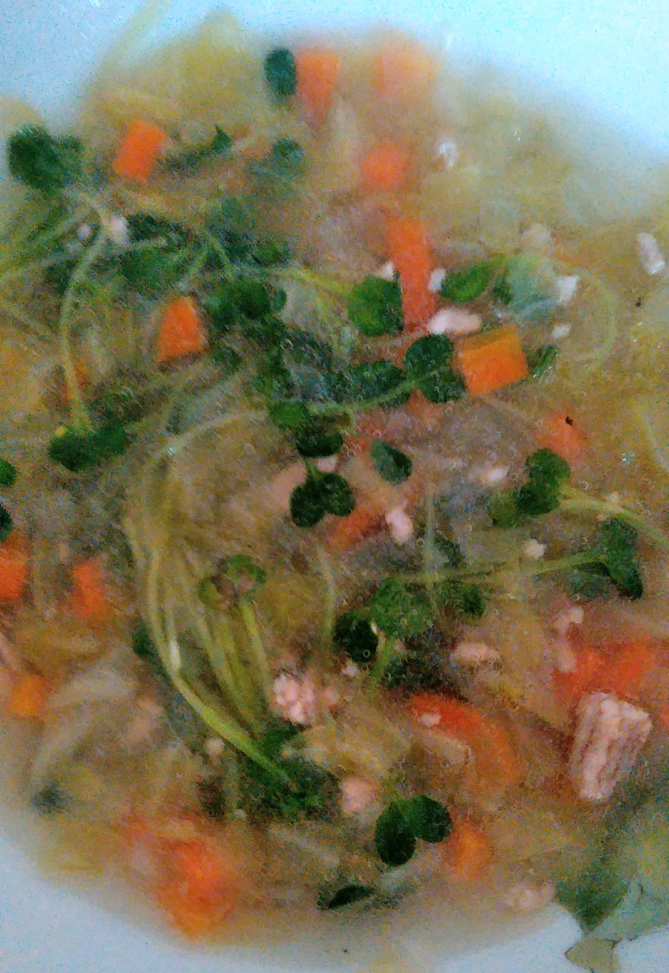豚挽き肉と残り野菜のスープ