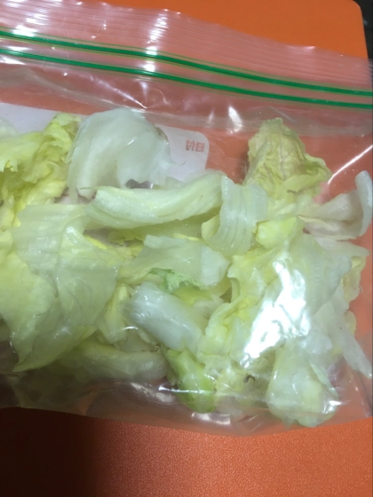 【余った野菜冷凍保存】傷む前にレタスを冷凍保存