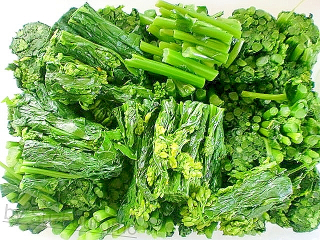 旬菜「かき菜」のおいしい茹で方