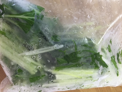 水菜が冷凍保存できることが知れてよかったです！これからも実践したいと思います。