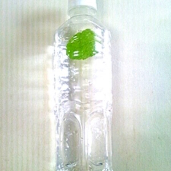 材料費ほぼタダのミント水 レシピ 作り方 By Ag44 楽天レシピ 材料費ほぼタダのミント水 レシピ 作り方 By Ag44 楽天レシピ