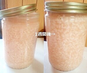 塩麹 麹屋の塩麹 | Pay ID