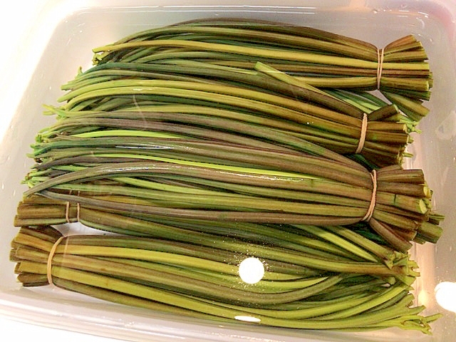重曹で わらびのアク抜き レシピ 作り方 By アボカドプリン 楽天レシピ 重曹で わらびのアク抜き レシピ 作り方 By アボカドプリン 楽天レシピ