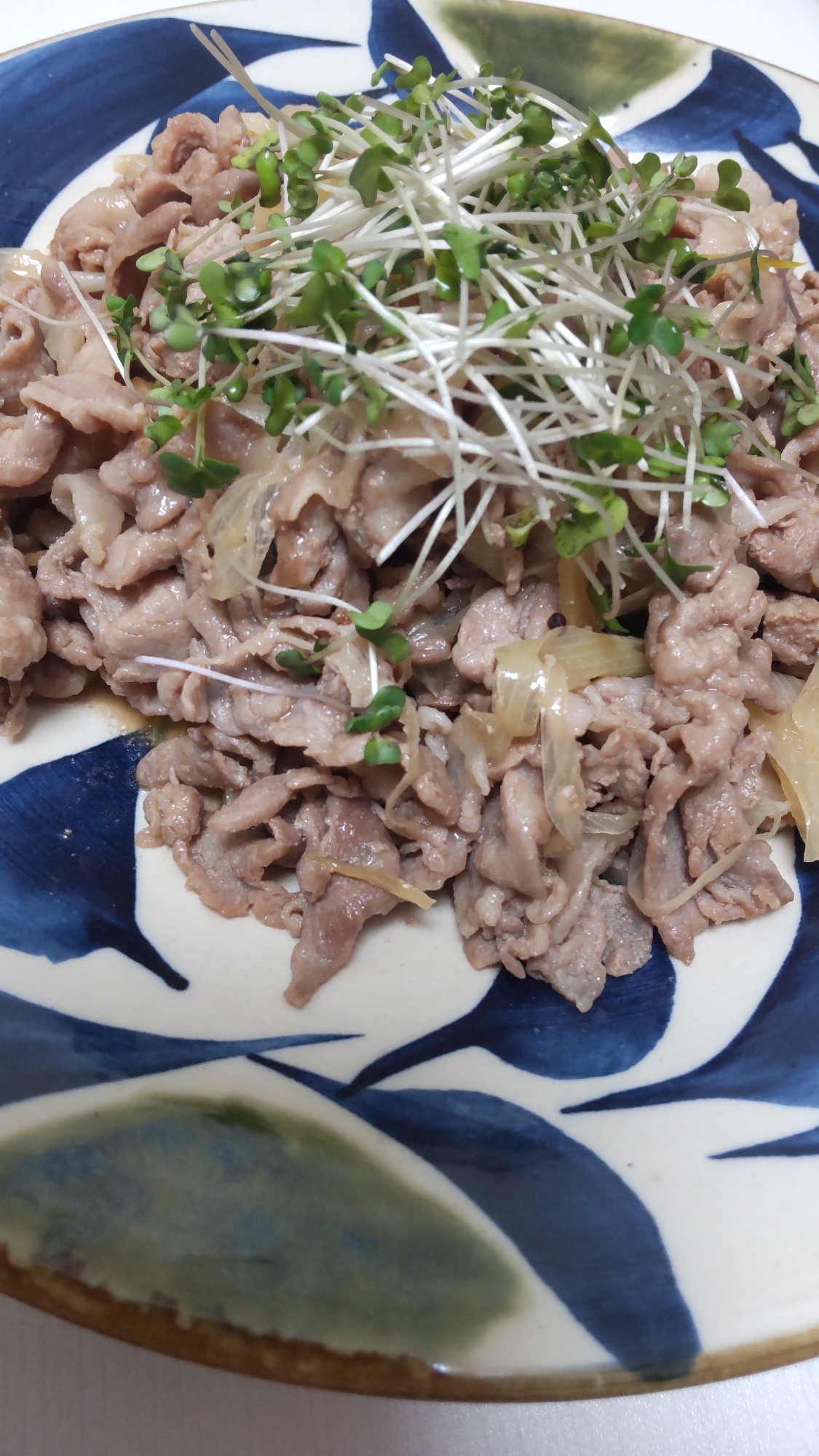 豚肉と長ネギの生姜焼き風☆