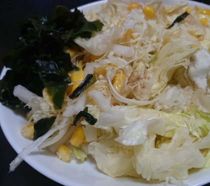あるもので作りました！ごちそうさまでした(^-^)