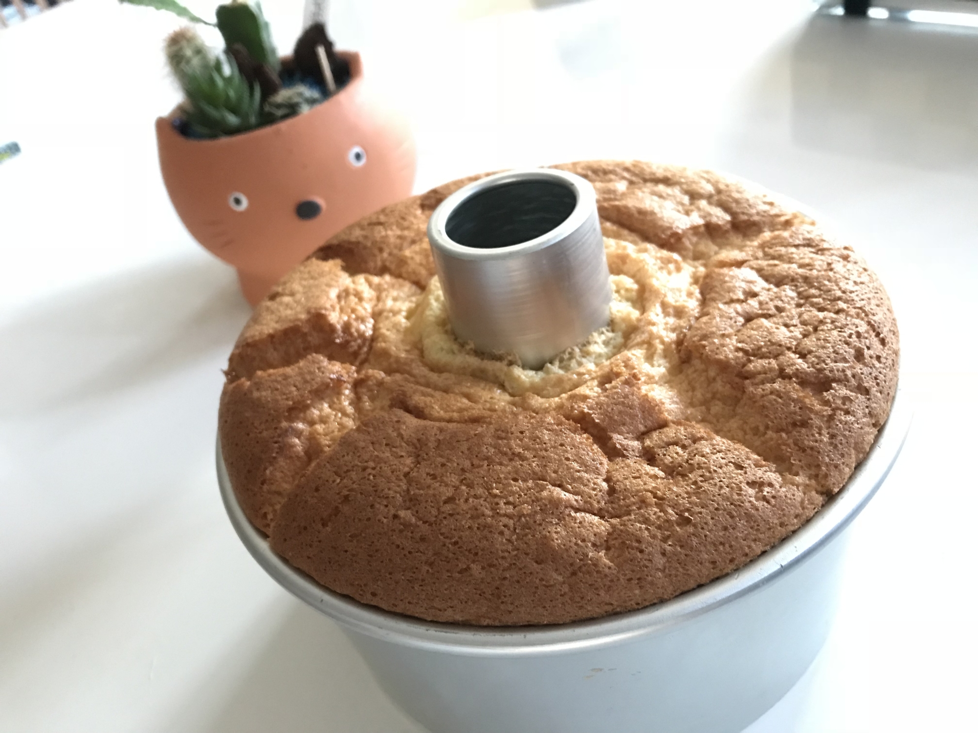 レモン バウンス 燃料 栗原 はるみ レモン シフォン ケーキ Diningbar Shin Jp