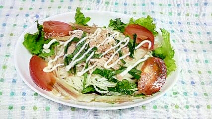 野菜たっぷり！サラダそうめん