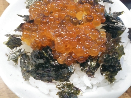 【北海道白糠町の返礼品】いくら丼
