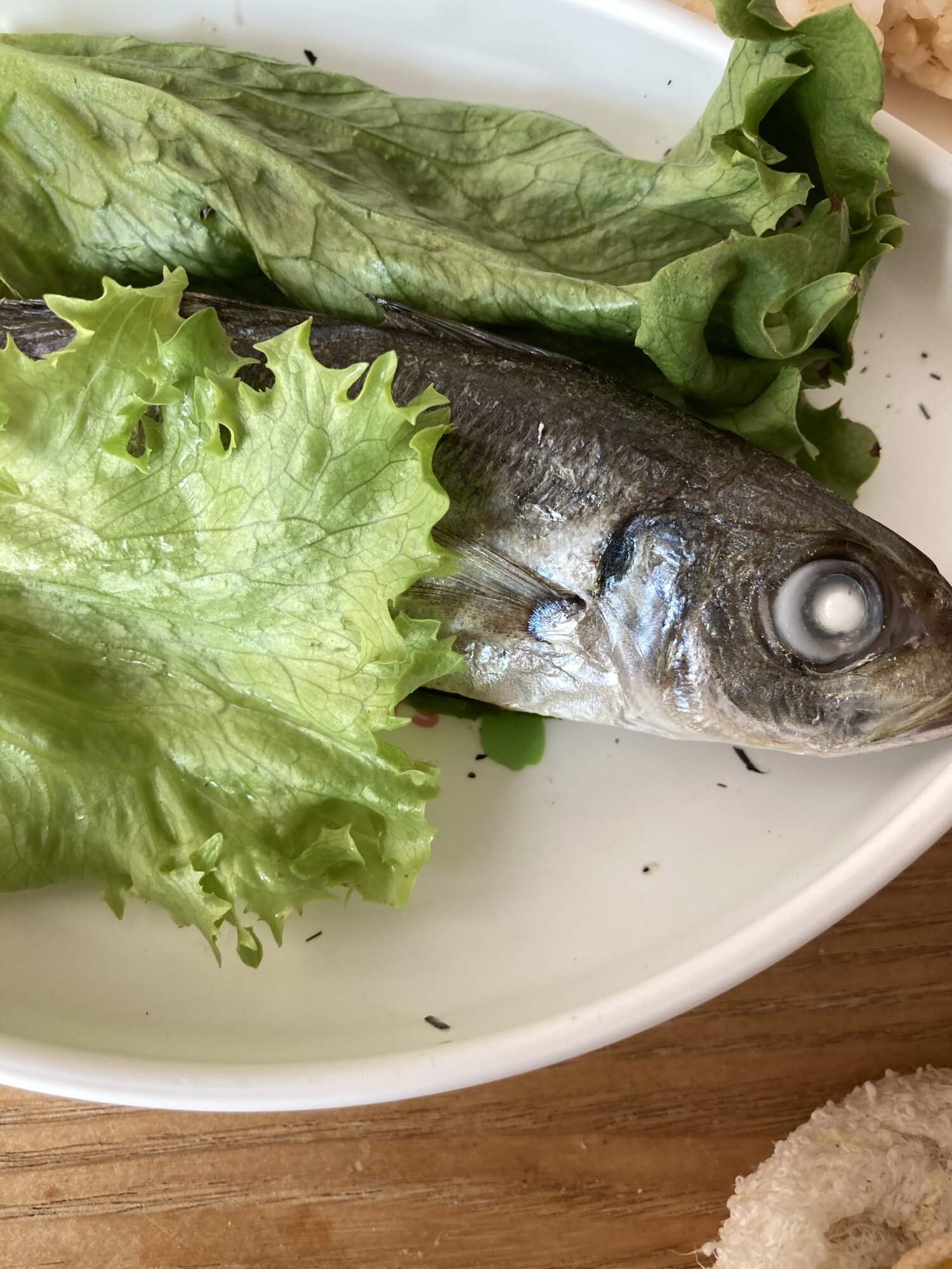 小アジのフライパン焼きサラダ レシピ 作り方 By へんてこへんてこママ 楽天レシピ 小アジのフライパン焼きサラダ レシピ 作り方 By へんてこへんてこママ 楽天レシピ