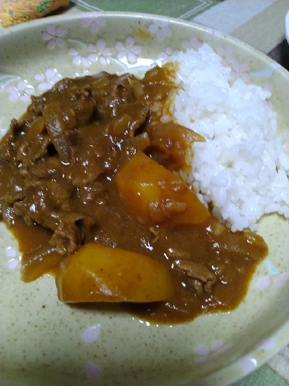 夏カレー元気がでますね