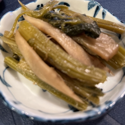 若牛蒡の炒め煮