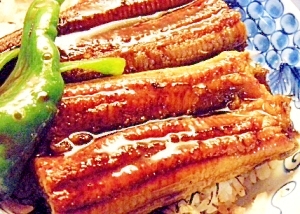 うなぎの胡麻寿司丼