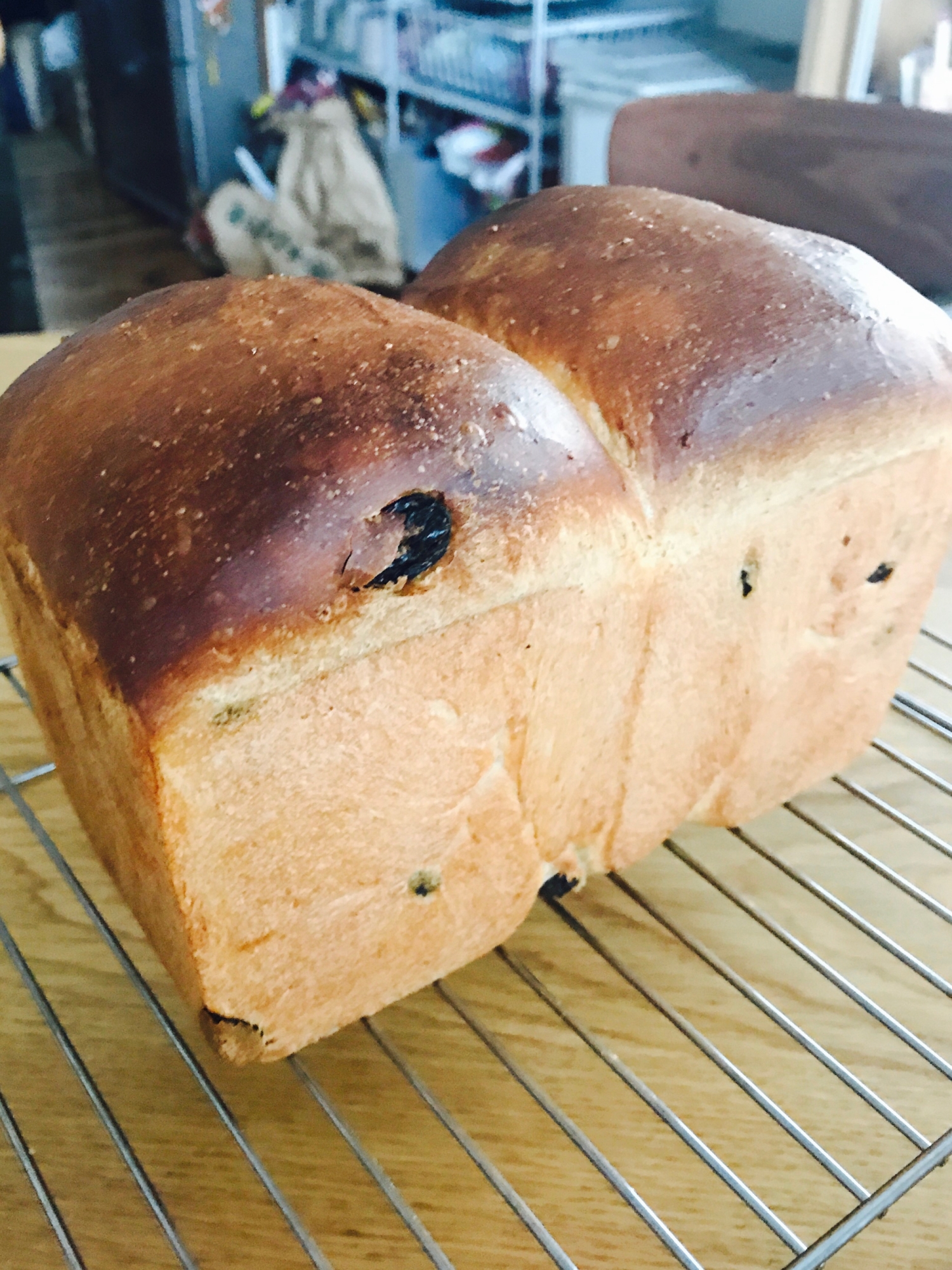 手ごねでレーズンブレッド