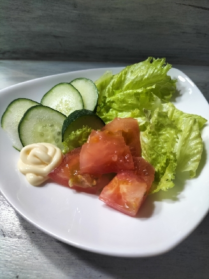 野菜サラダ（ミニトマト・きゅうり・レタス）