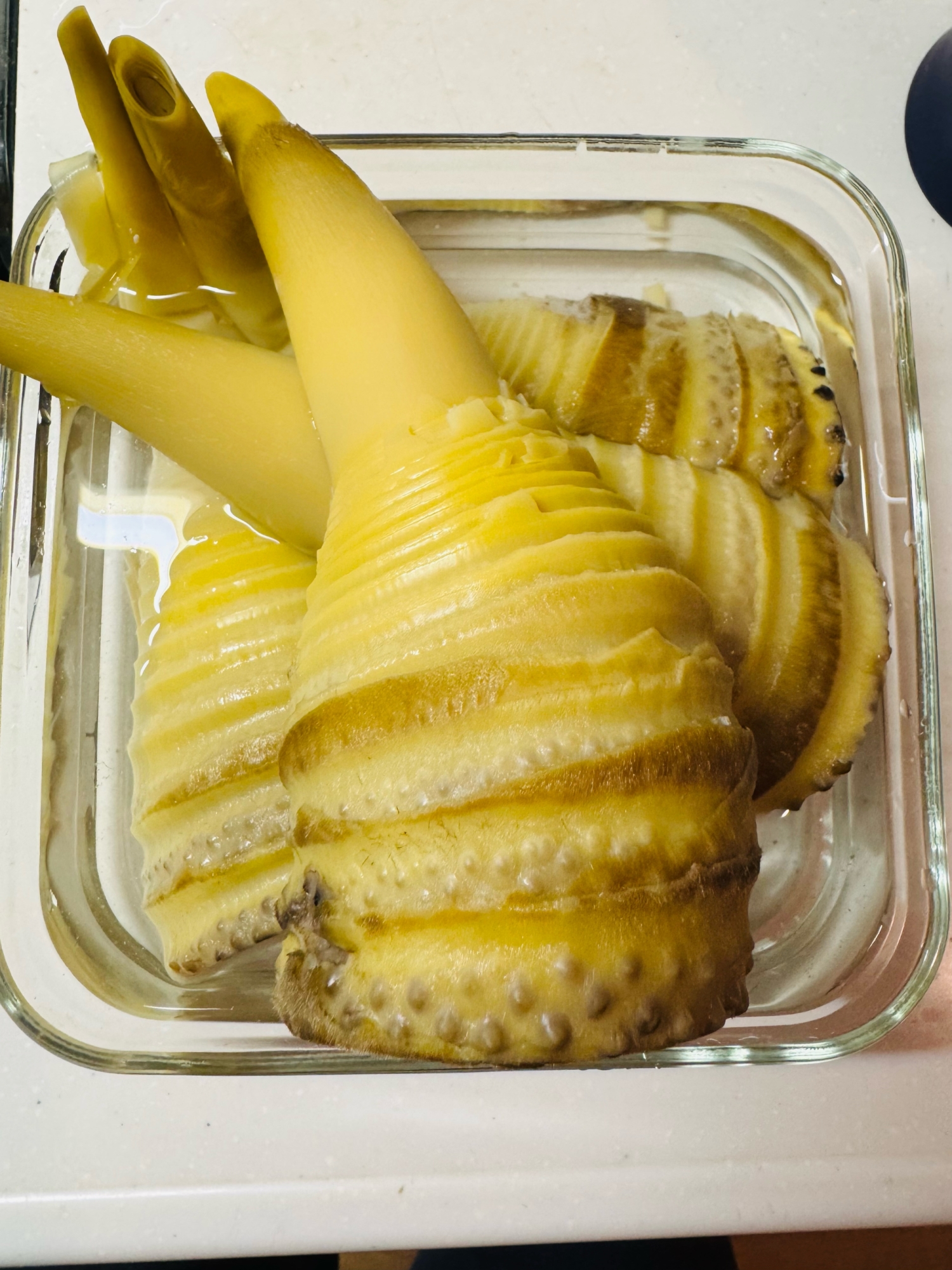 生の筍の下処理