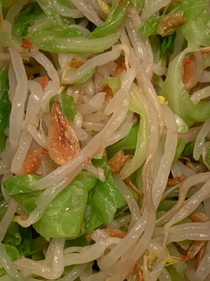 もやしとキャベツと干しエビも和え物