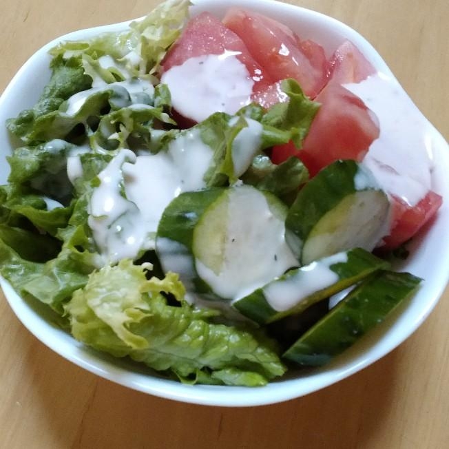 トマトとフリルレタスとサラダ菜と胡瓜のサラダ