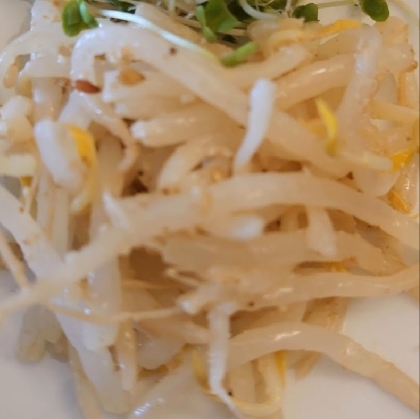 yun36さん、こんばんは〜♪
お野菜高くて最近はもやし登場頻度が増し増しです( ´•ᴗ•ก)
なので もやしの簡単美味しいレシピ助かりましたー☘