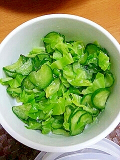 きゅうりとキャベツの簡単添え野菜