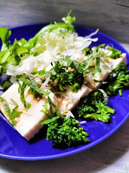 先程はつくれぽありがとうございました♬きょうはこちら✨お豆腐としらすと紫蘇でとっても美味しいヘルシーサラダに♡素敵なレシピ感謝です(⁠◕⁠ᴗ⁠◕⁠✿⁠)