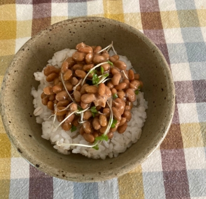 ブロッコリースーパースプラウトの納豆ご飯