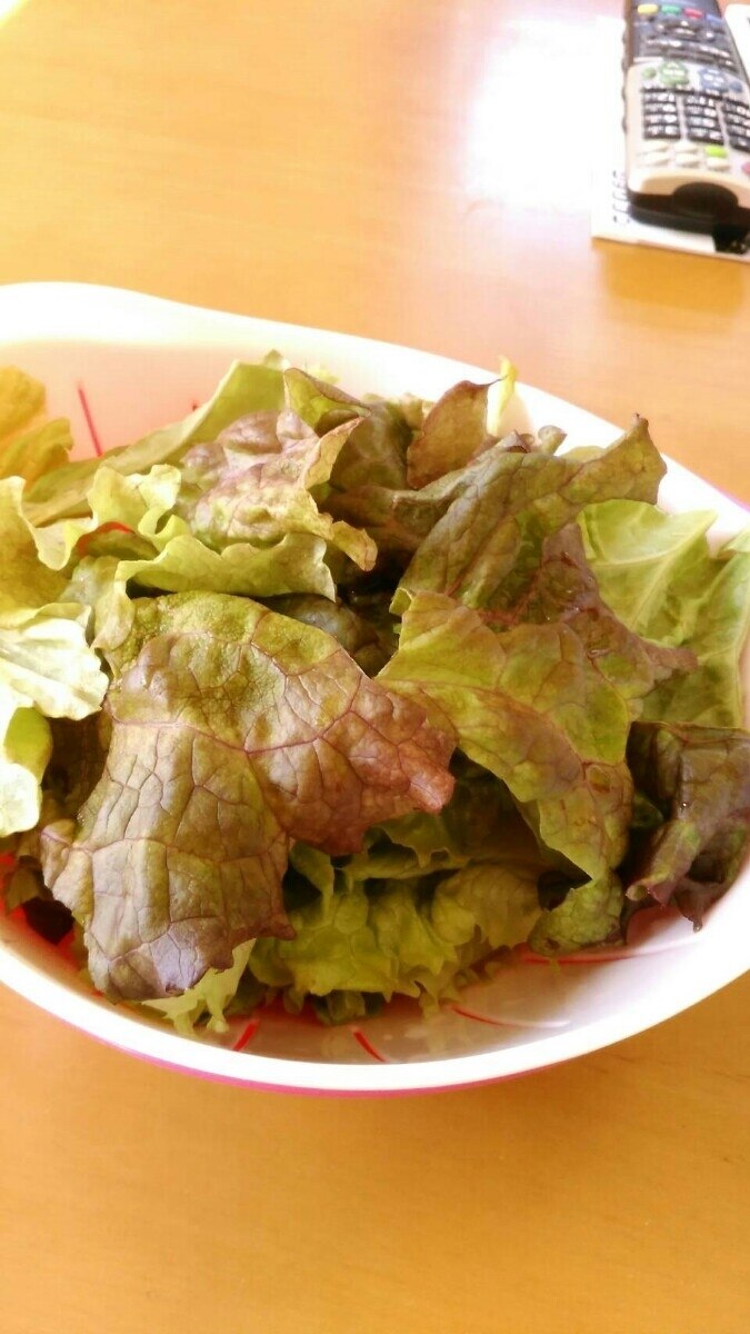 しおれたレタスがパリッ レシピ 作り方 By ハナッコ 楽天レシピ