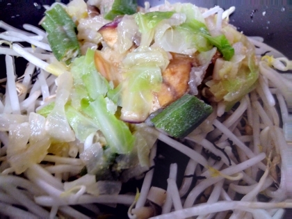 白菜と小松菜もやし炒め