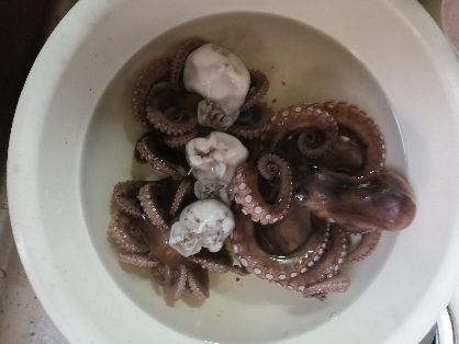 生ダコの下処理と茹で方 レシピ 作り方 By ここなっつん 楽天レシピ 生ダコの下処理と茹で方 レシピ 作り方 By ここなっつん 楽天レシピ